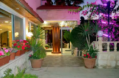 Amra Palace International - 19