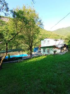 Three poplars by VL Camping - 37