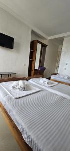 Ritsa Resort - 22
