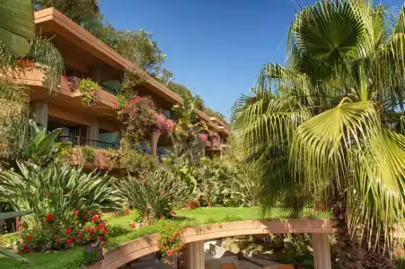 Acacia Resort - 13