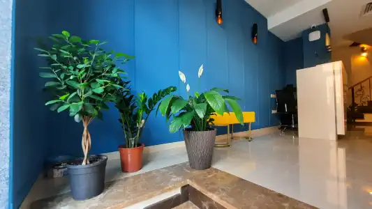 Luxury Avlabar Apartment - 0