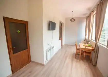 Popock Dilijan 1 - 41