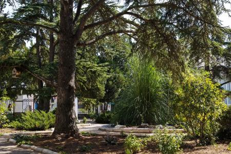 Priboj Sanatorium - 47