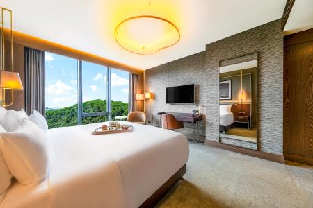 Radisson Collection Vadistanbul - 4