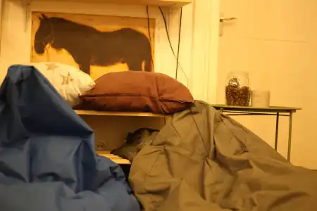 Moosica Hostel - 5