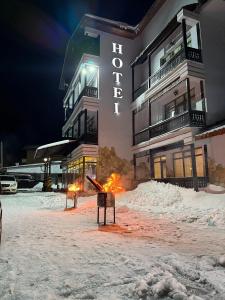 Travel Inn Bakuriani - 1