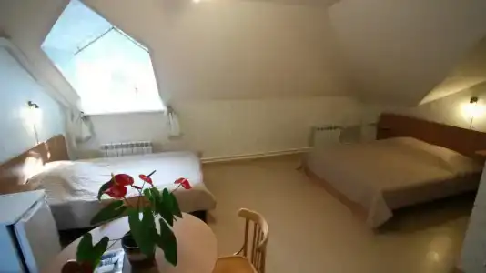 Tsarevna Lyagushka Guest house - 9