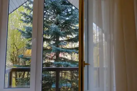 Gostinichnyij Kompleks Sosnovyij Bor - 46