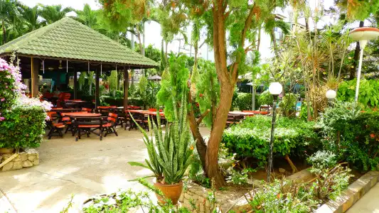 Romeo Palace - 16
