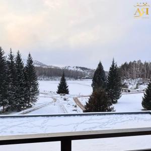 Park-Lake Aya - 16