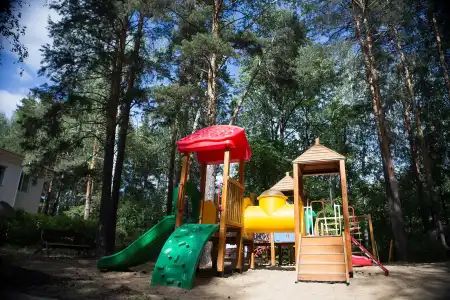 Elovoe  Scandinavian Park-Hotel - 4