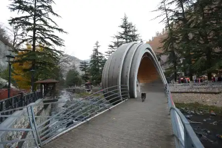 Borjomi UnderWood - 30