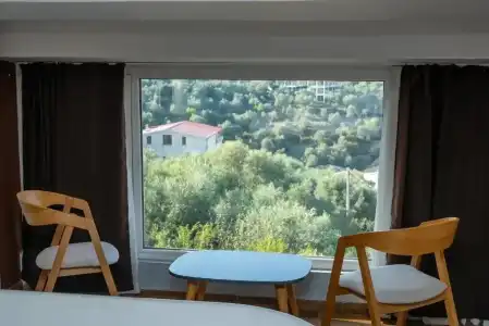 Olivar Tirana - 7