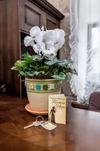 Meditsinskij Tsentr Knyazhna Meri Mini-Hotel - 14