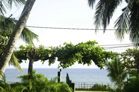 Sea View Tourist Inn - 7