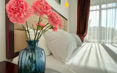 Wellness Park All-Inclusive - 45