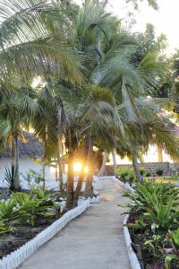 Swahili Beach Resort - 2