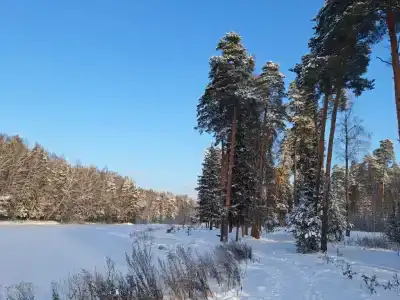 Domiki v Zavetah Tourist base - 34