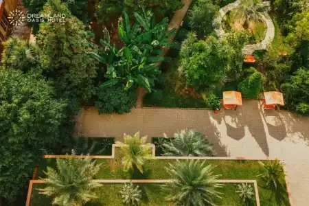 Dreamland Oasis - 19