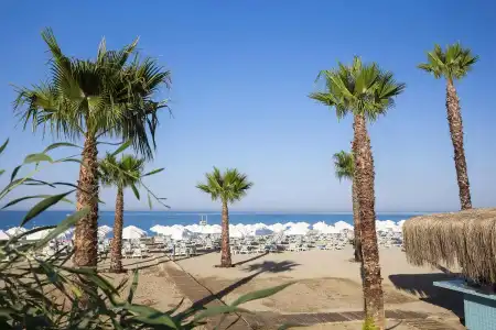 Sultan of Dreams & Spa - All Inclusive - 48