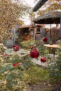 Alashkert Guest house - 15