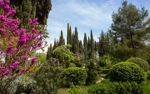 Znanie Health Resort - 22