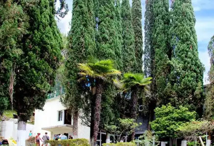 Solnechnyy Letniy Pansionat - 1