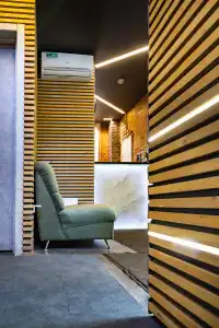 Wellion Baumansky - 4