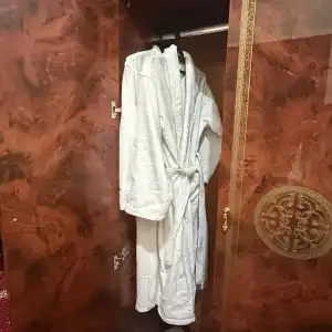 Lion - 100