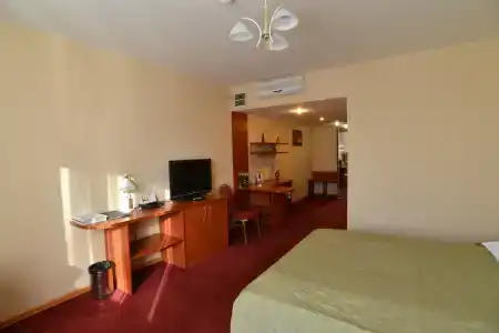 Tsentralny EuroHotel - 89