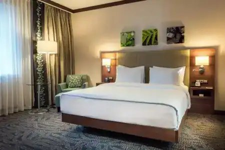 Hilton Garden Inn - 77