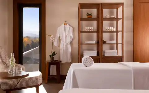 Swissôtel Wellness Resort Alatau - 50