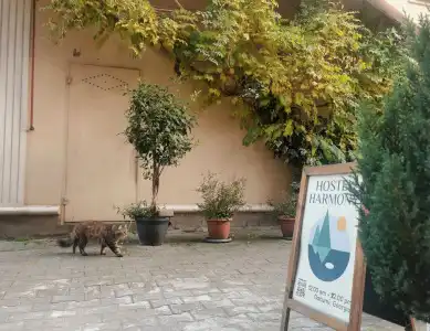 Harmony Boutique Hostel - 19