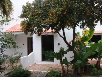 Oasis Bungalows Rodos - All Inclusive - 12