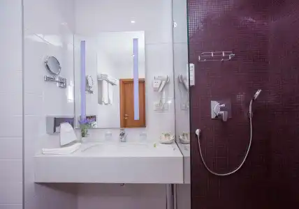 Best Western Plus Centre - 49