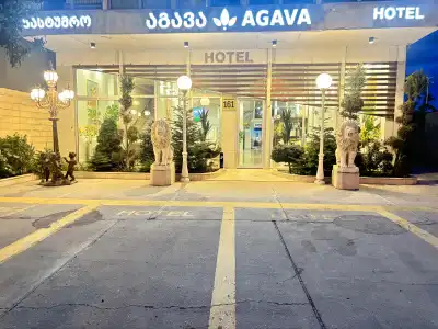 Agava - 15