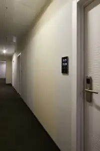 STEPS - 13