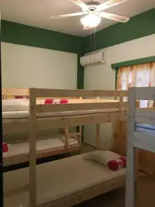 Past Or Tail Hostel - 12