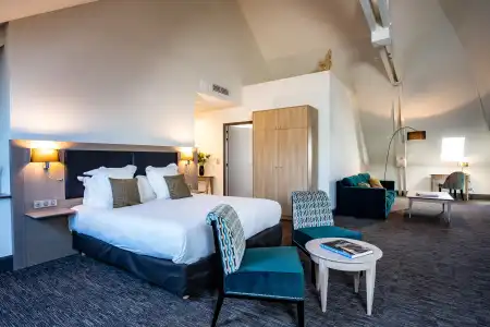 Hôtel Spa Marotte - 111