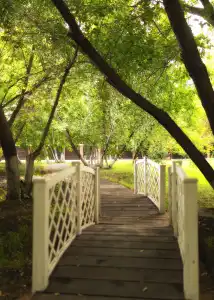 Park Almaz - 14