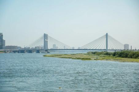 Nile Transport - 15