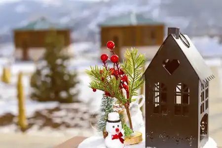 Alaska Resort - 151