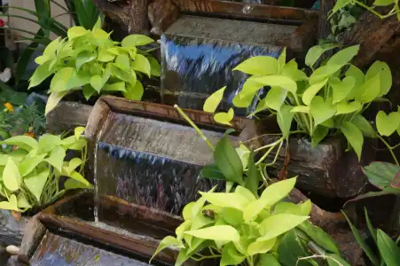 Patong Mansion - 28