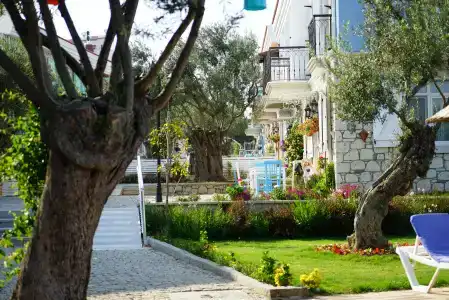 Zeytin Arası Apart Otel - 19