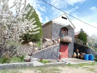 Luiza Guest House - 1