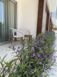 Zest Exclusive and Spa Resort - 6