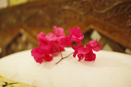 Swahili Beach Resort - 14