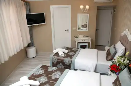 Divani Ali - 16