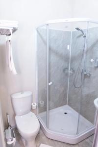 Gibrid-otel Risor - 65