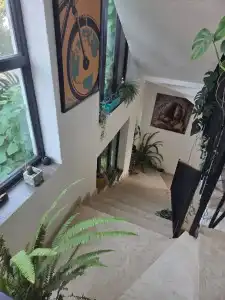 TJ Guest House - 24